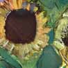 Sunflowers II, 2011, watercolour, 36x46cm